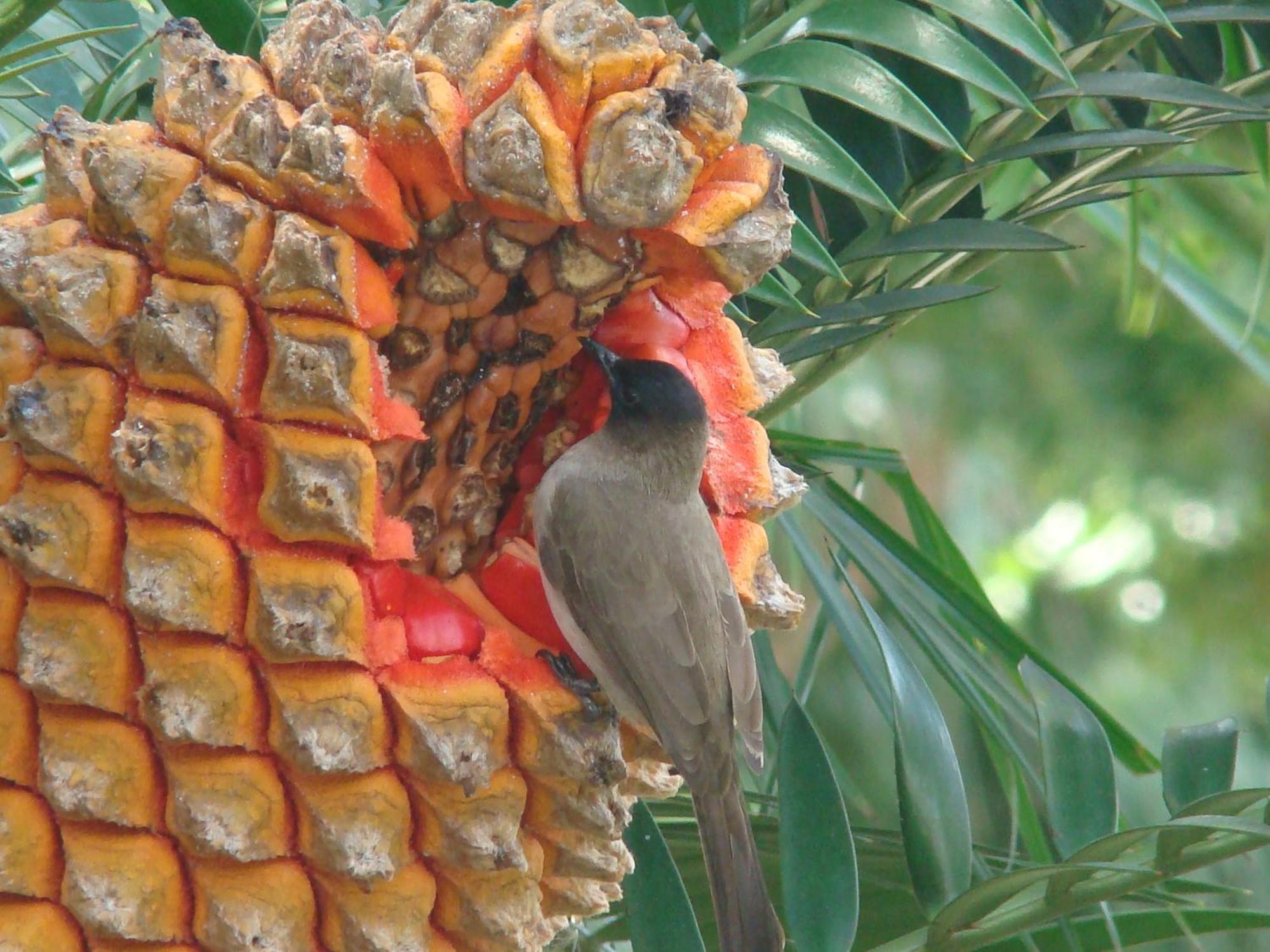 Saint Lucia Estuary Leopard Corner Lodge מראה חיצוני תמונה