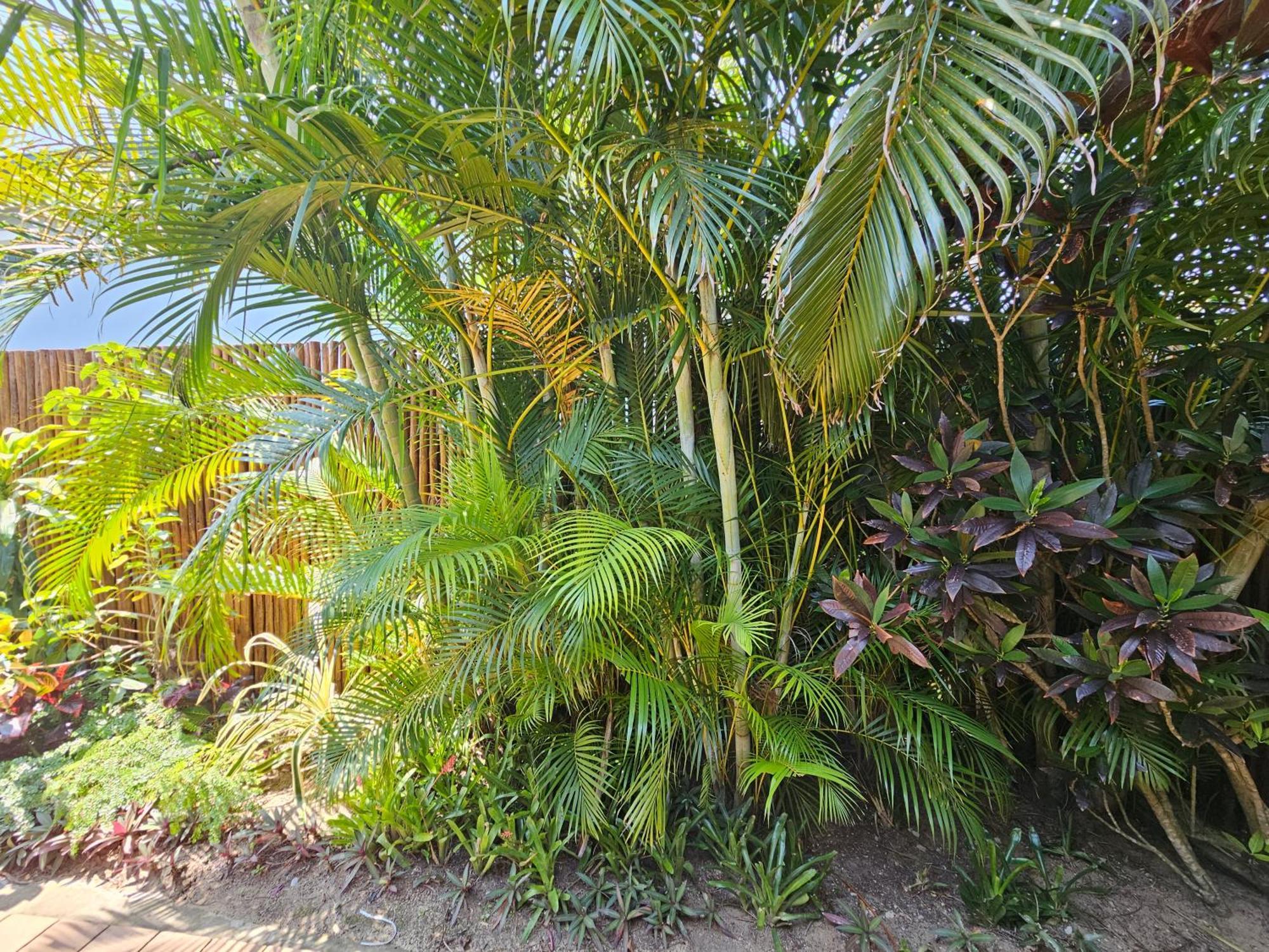 Saint Lucia Estuary Leopard Corner Lodge מראה חיצוני תמונה